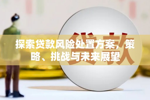 贾汪探索贷款风险处置方案，策略、挑战与未来展望
