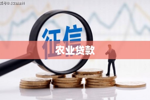 贾汪农业贷款