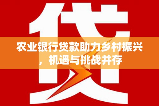 贾汪农业银行贷款助力乡村振兴，机遇与挑战并存