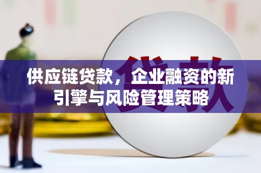 贾汪供应链贷款，企业融资的新引擎与风险管理策略