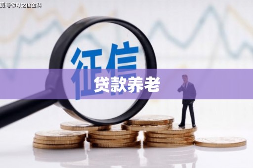 贾汪贷款养老