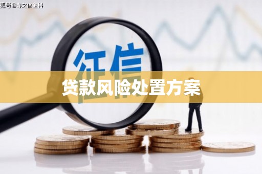 贾汪贷款风险处置方案