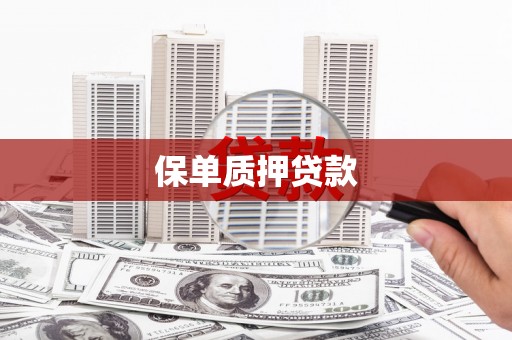 贾汪保单质押贷款