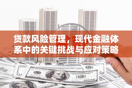 贾汪贷款风险管理，现代金融体系中的关键挑战与应对策略