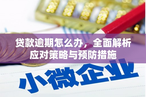 贾汪贷款逾期怎么办，全面解析应对策略与预防措施