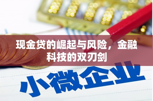 贾汪现金贷的崛起与风险，金融科技的双刃剑