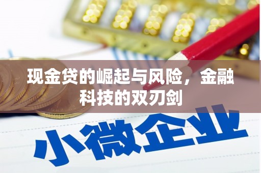 贾汪现金贷的崛起与风险，金融科技的双刃剑
