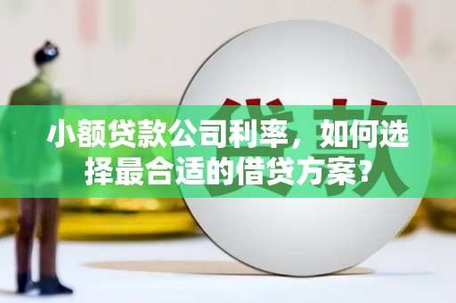 贾汪小额贷款公司利率，如何选择最合适的借贷方案？