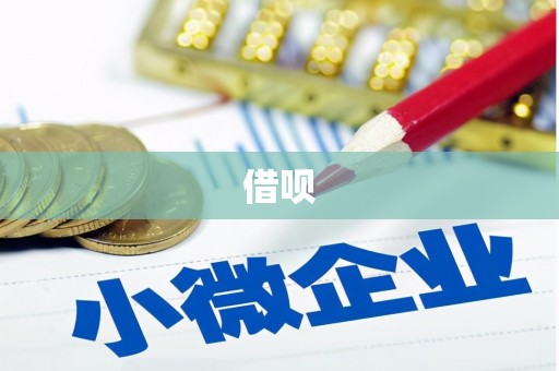 贾汪借呗