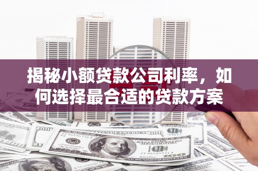 贾汪揭秘小额贷款公司利率，如何选择最合适的贷款方案