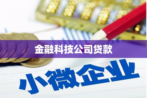 贾汪金融科技公司贷款