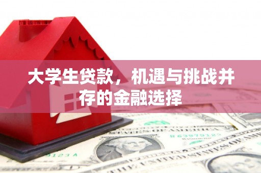 贾汪大学生贷款，机遇与挑战并存的金融选择