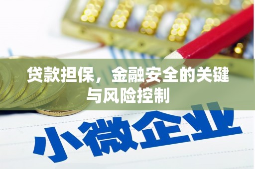 贾汪贷款担保，金融安全的关键与风险控制