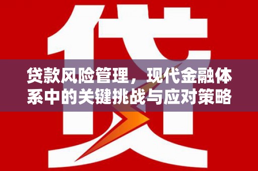 贾汪贷款风险管理，现代金融体系中的关键挑战与应对策略