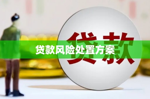 贾汪贷款风险处置方案