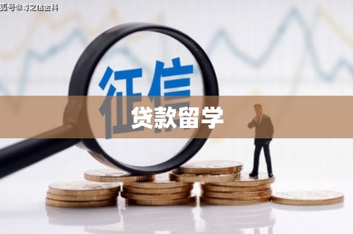 贾汪贷款留学