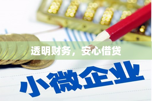 贾汪透明财务，安心借贷