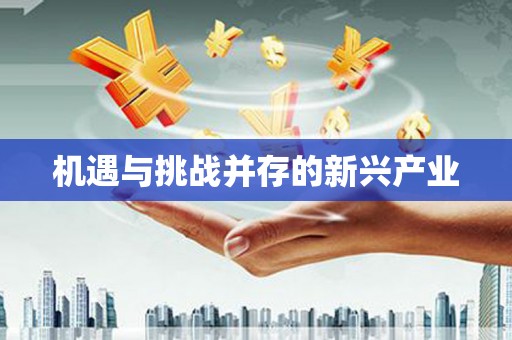 贾汪机遇与挑战并存的新兴产业