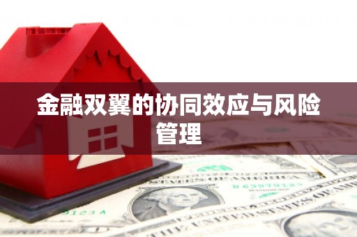贾汪金融双翼的协同效应与风险管理