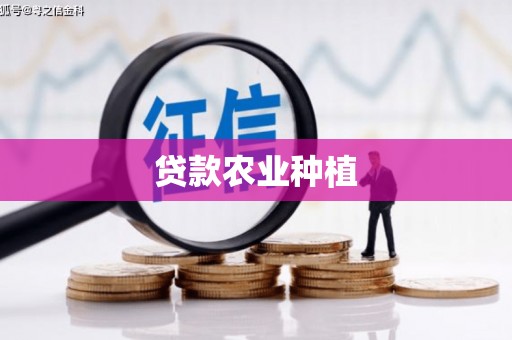 贾汪贷款农业种植