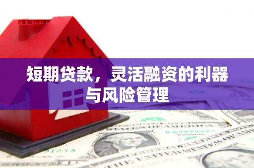 贾汪短期贷款，灵活融资的利器与风险管理