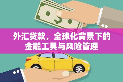 贾汪外汇贷款，全球化背景下的金融工具与风险管理