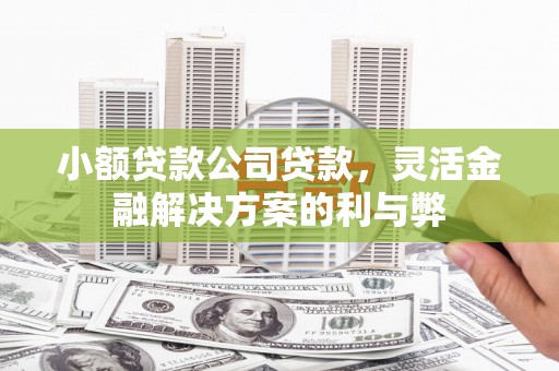 贾汪小额贷款公司贷款，灵活金融解决方案的利与弊